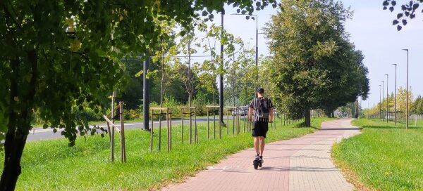 Teren trawiasty z nasadzeniami drzew, obok ścieżki rowerowej i chodnika.