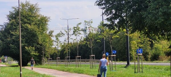 Teren trawiasty z nasadzeniami drzew, obok ścieżki rowerowej i chodnika.