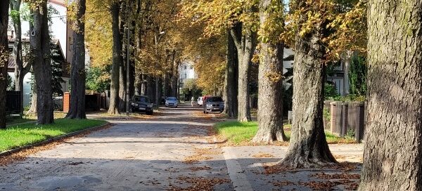 Aleja z drzewami Kasztanowca.