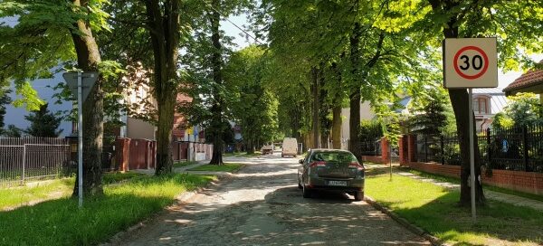 Aleja z drzewami Kasztanowca.