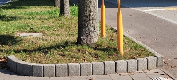 Trawnik, na którym rośnie drzewo, otoczony podwyższonym krawężnikiem.
