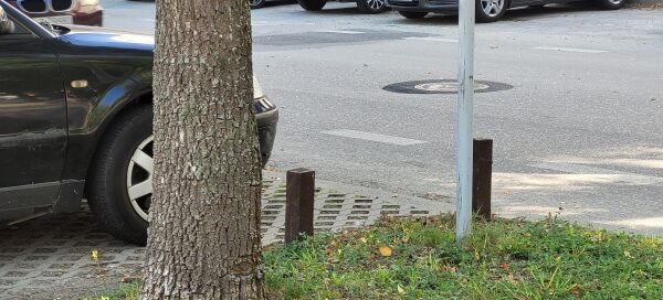 Trawnik, obok miejsca parkingowe.