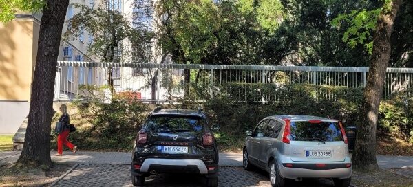 Samochody zaparkowane na miejscach parkingowych.