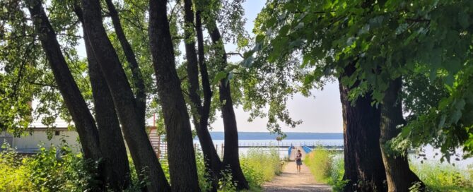 Droga wśród drzew. W tle widoczny Zalew Zemborzycki.