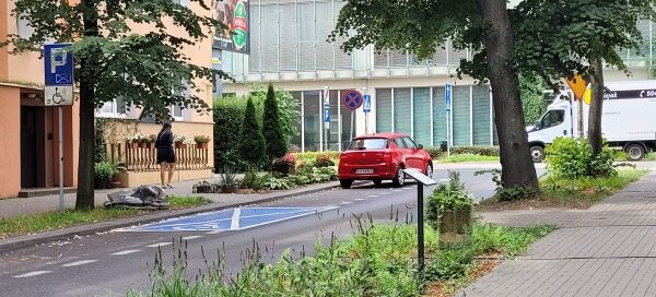 Pas Roślinności pomiędzy chodnikiem a ulicą.