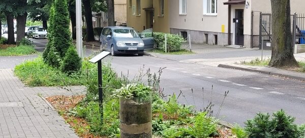 Pas Roślinności pomiędzy chodnikiem a ulicą.