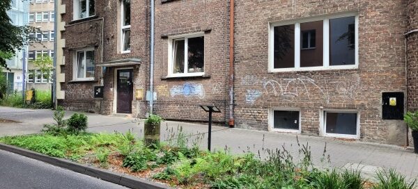 Pas Roślinności pomiędzy chodnikiem a ulicą.