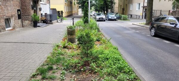 Pas Roślinności pomiędzy chodnikiem a ulicą.