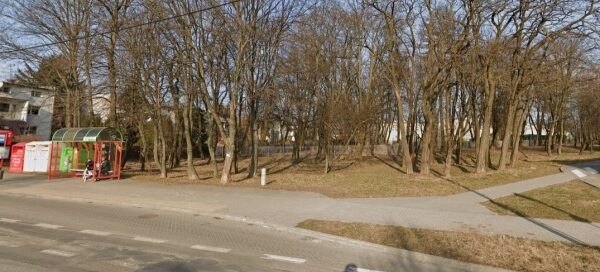 Drzewostan parku osiedlowego.