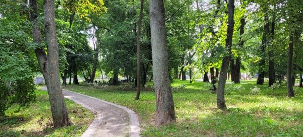 Brukowana ścieżka pośród drzew.