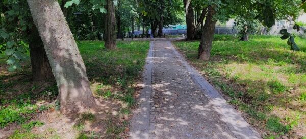 Brukowana ścieżka pośród drzew.