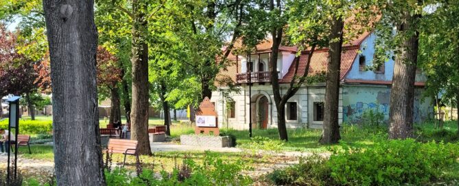 Teren parku. Pomiędzy drzewami widoczny dworek.