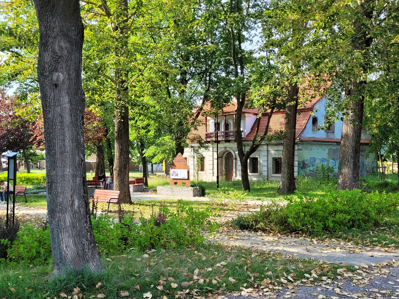 Teren parku. Pomiędzy drzewami widoczny dworek.