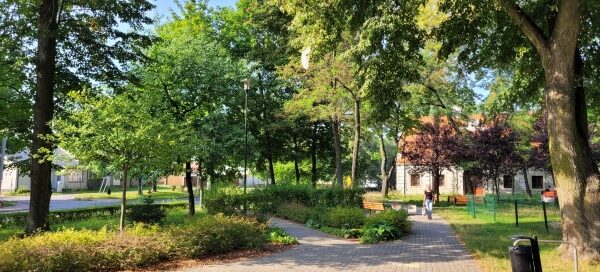 Brukowana alejka wśród roślinności.