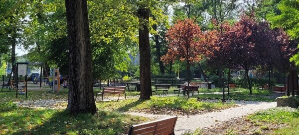 Ścieżka wśród drzew, przy której stoi ławka.