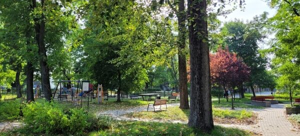 Roślinność w parku.