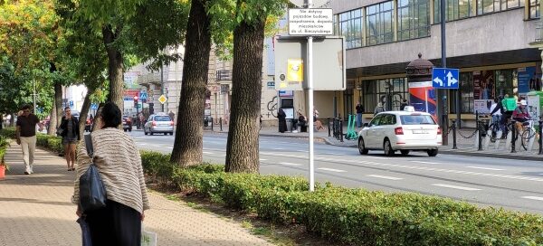 Drzewa przy chodniku.