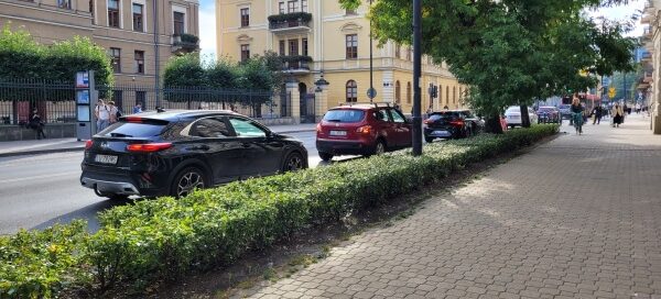 Drzewa między jezdnią a chodnikiem.