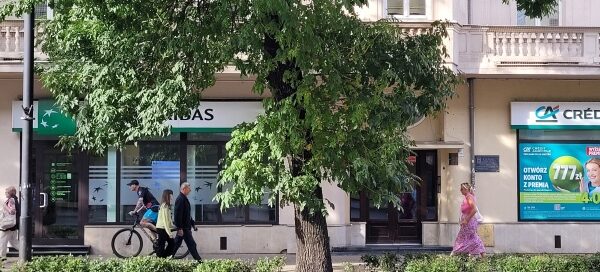 Drzewo na tle kamienicy.