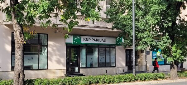 Zieleń w centrum miasta.