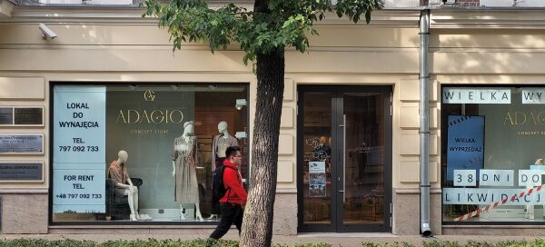 Zieleń w centrum miasta.