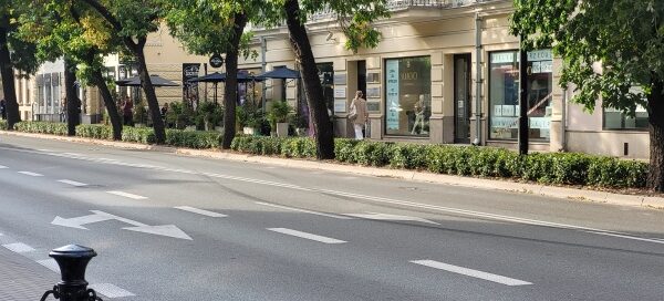 Jezdnia, przy której widoczne są drzewa.