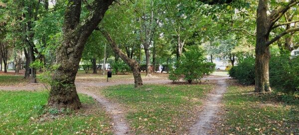 Scieżki skweru oraz roślinność.