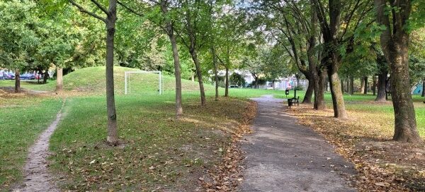Ścieżki oraz roślinność skweru.