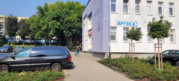 Trawniki przy parkingu. W tle widoczny budynek.