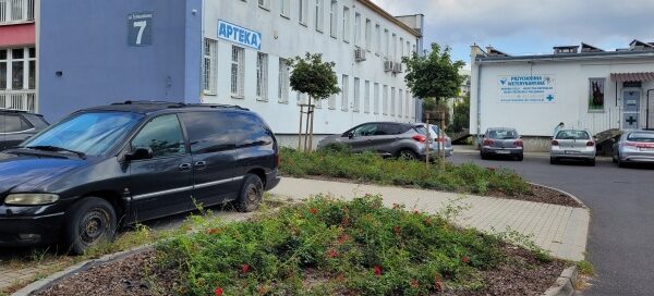 Trawniki przy parkingu. W tle widoczny budynek.