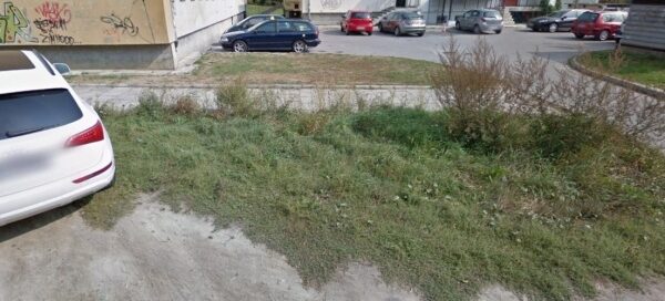 Trawniki przy parkingu. W tle widoczny budynek.