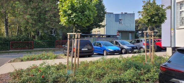 Teren zielony z nasadzeniami.