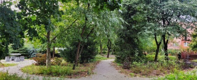 Alejka wśród drzew.