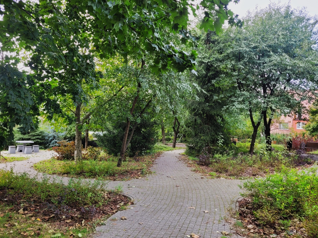 Alejka wśród drzew.