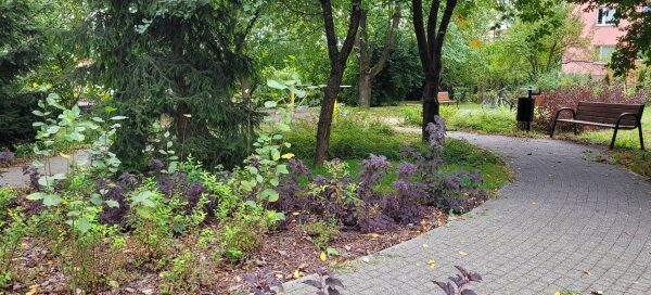 Aljka wśród roślinności.