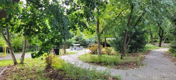 Roślinność skweru.