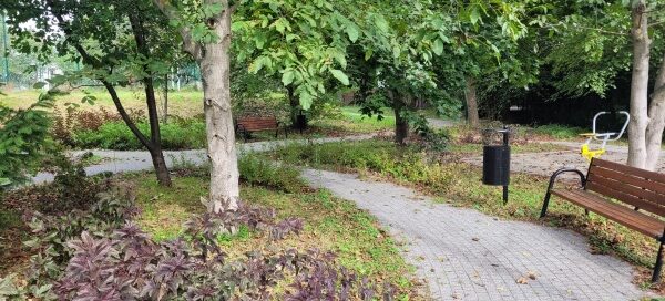 Roślinność skweru.