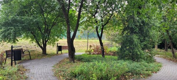 Alejka, rośliność. ławka.