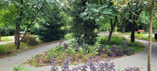 Alejki i roślinność.