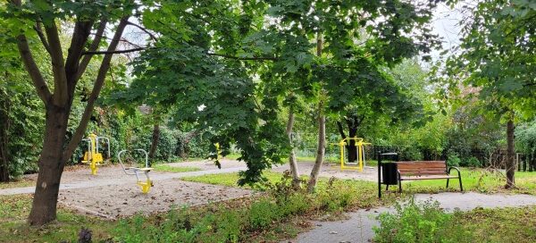 Alejka, drzewo, ławka.