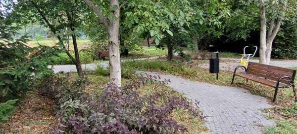 Alejka, roślinność, ławka.