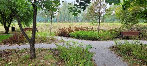 Alejka i roślinność.