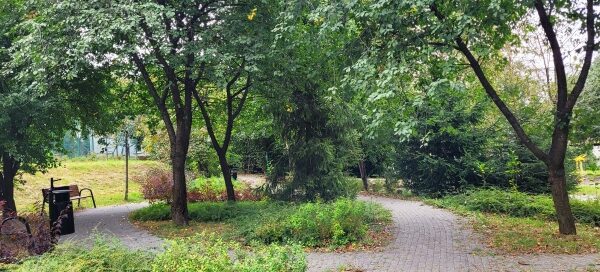 Alejka wśród roślinności.