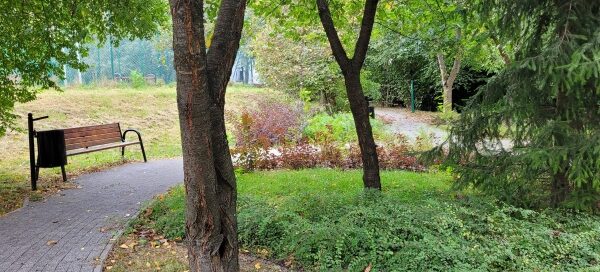 Drzewa, alejka, ławka.