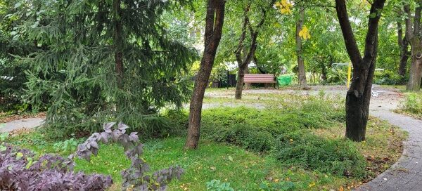 Roślinność na skwerze.