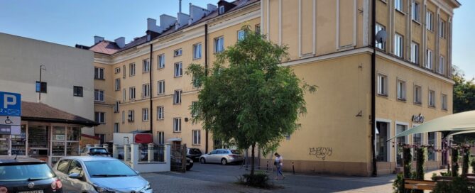 Pojedyncze drzewo w miejskiej zabudowie.