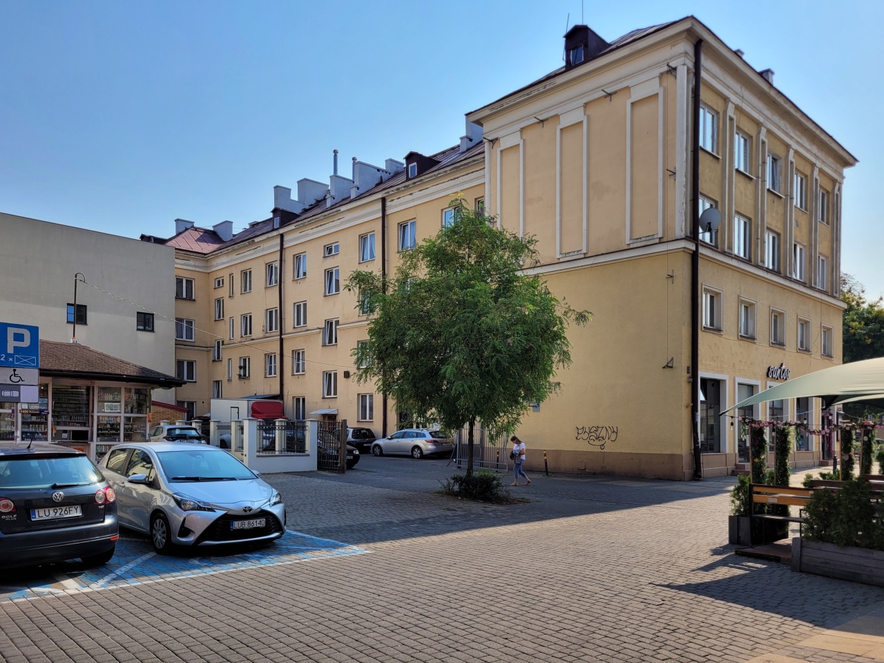 Pojedyncze drzewo w miejskiej zabudowie.