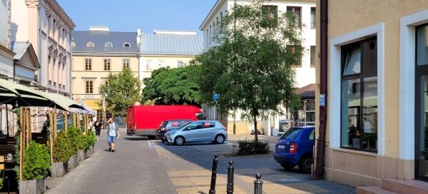 Uliczka z drzewami w centrum miasta.