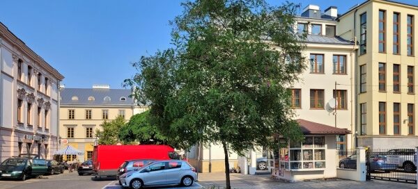 Uliczka z drzewami w centrum miasta.