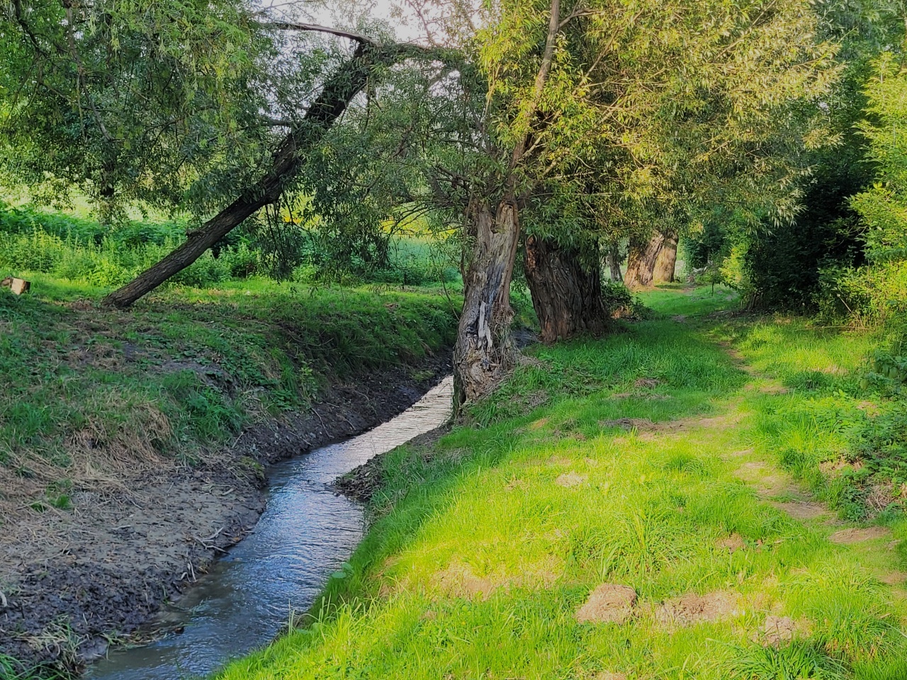 Ścieżka biegnąca obok rzeki. W tle wdoczne drzewa.